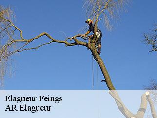 Elagueur  feings-61400 Entreprise KIVIG, Elagage express 61