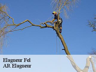 Elagueur fel-61160 AR Elagueur