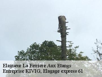 Elagueur  la-ferriere-aux-etangs-61450 Entreprise KIVIG, Elagage express 61