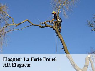 Elagueur la-ferte-frenel-61550 AR Elagueur