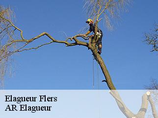 Elagueur flers-61100 AR Elagueur