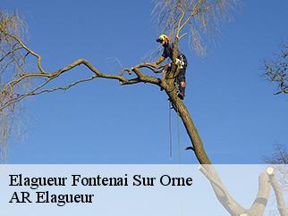 Elagueur  fontenai-sur-orne-61200 Entreprise KIVIG, Elagage express 61