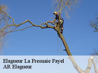 Elagueur  la-fresnaie-fayel-61230 Entreprise KIVIG, Elagage express 61