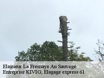 Elagueur  la-fresnaye-au-sauvage-61210 Entreprise KIVIG, Elagage express 61