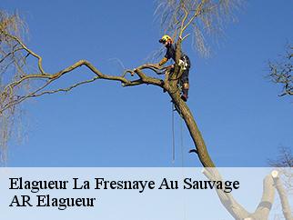 Elagueur  la-fresnaye-au-sauvage-61210 Entreprise KIVIG, Elagage express 61