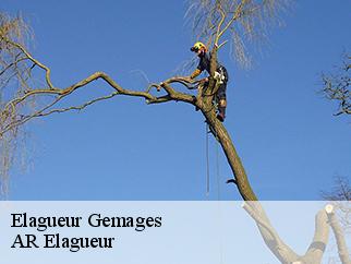 Elagueur gemages-61130 AR Elagueur