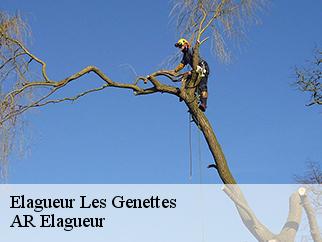 Elagueur  les-genettes-61270 AR Elagueur