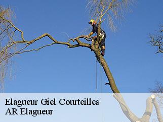 Elagueur  giel-courteilles-61210 Entreprise KIVIG, Elagage express 61