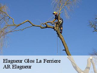 Elagueur glos-la-ferriere-61550 AR Elagueur