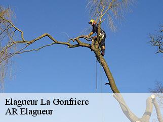 Elagueur  la-gonfriere-61550 AR Elagueur