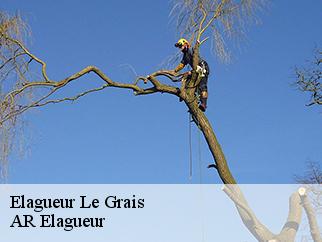 Elagueur le-grais-61600 Entreprise KIVIG, Elagage express 61