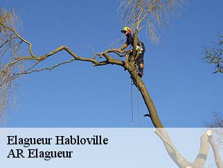 Elagueur  habloville-61210 AR Elagueur