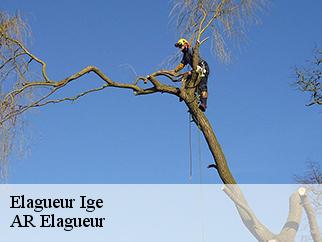 Elagueur ige-61130 AR Elagueur