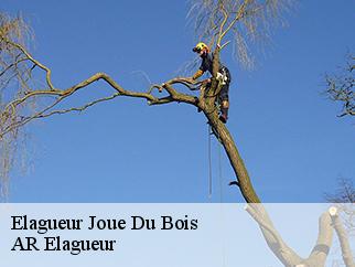 Elagueur  joue-du-bois-61320 AR Elagueur