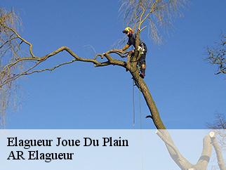Elagueur  joue-du-plain-61150 AR Elagueur