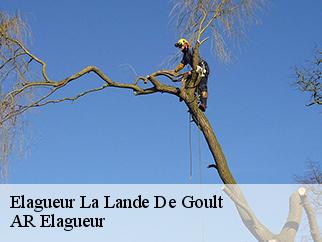 Elagueur  la-lande-de-goult-61320 AR Elagueur