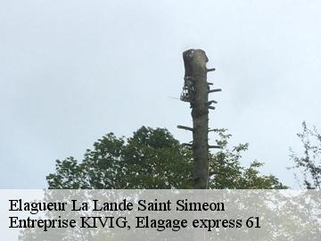 Elagueur  la-lande-saint-simeon-61100 Entreprise KIVIG, Elagage express 61