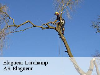 Elagueur  larchamp-61800 AR Elagueur
