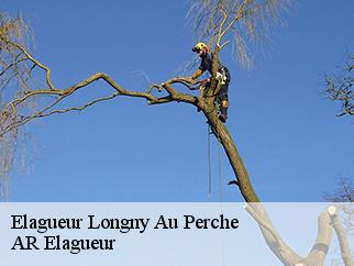 Elagueur  longny-au-perche-61290 AR Elagueur