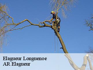 Elagueur  longuenoe-61320 AR Elagueur