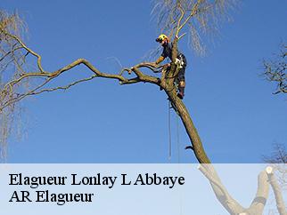 Elagueur  lonlay-l-abbaye-61700 AR Elagueur