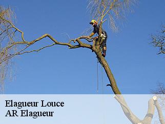 Elagueur louce-61150 AR Elagueur