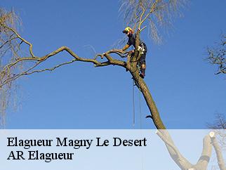 Elagueur magny-le-desert-61600 AR Elagueur