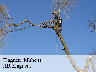 Elagueur maheru-61380 AR Elagueur