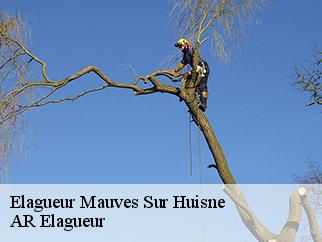 Elagueur  mauves-sur-huisne-61400 AR Elagueur