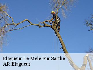 Elagueur le-mele-sur-sarthe-61170 Entreprise KIVIG, Elagage express 61
