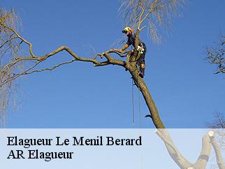 Elagueur  le-menil-berard-61270 AR Elagueur