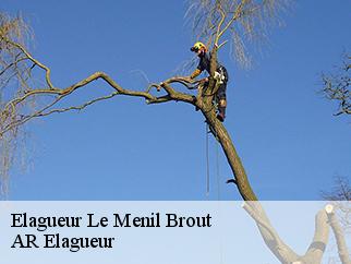 Elagueur  le-menil-brout-61250 Entreprise KIVIG, Elagage express 61