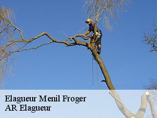 Elagueur  menil-froger-61240 Entreprise KIVIG, Elagage express 61