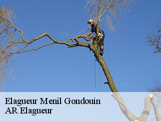 Elagueur menil-gondouin-61210 AR Elagueur