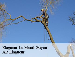 Elagueur  le-menil-guyon-61170 Entreprise KIVIG, Elagage express 61