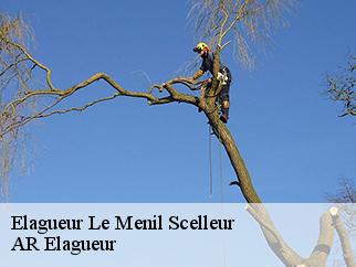 Elagueur  le-menil-scelleur-61320 AR Elagueur