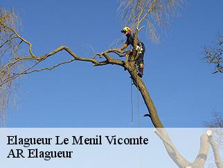 Elagueur le-menil-vicomte-61240 AR Elagueur