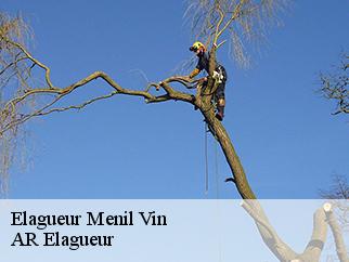 Elagueur  menil-vin-61210 Entreprise KIVIG, Elagage express 61