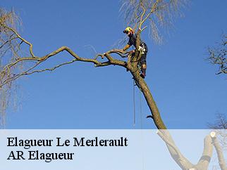 Elagueur le-merlerault-61240 AR Elagueur