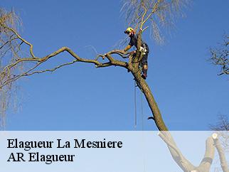 Elagueur  la-mesniere-61560 Entreprise KIVIG, Elagage express 61