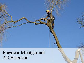 Elagueur  montgaroult-61150 Entreprise KIVIG, Elagage express 61