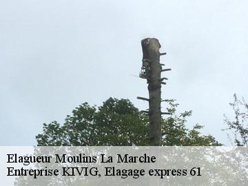 Elagueur  moulins-la-marche-61380 Entreprise KIVIG, Elagage express 61