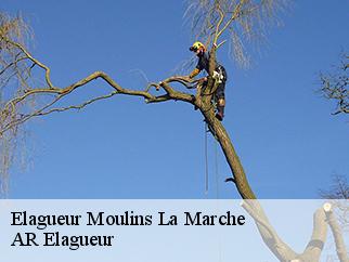 Elagueur  moulins-la-marche-61380 Entreprise KIVIG, Elagage express 61