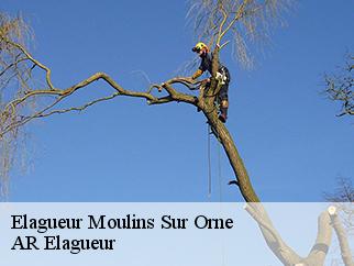 Elagueur moulins-sur-orne-61200 AR Elagueur