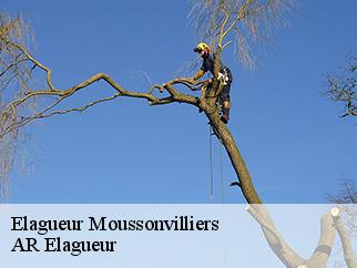 Elagueur  moussonvilliers-61190 Entreprise KIVIG, Elagage express 61