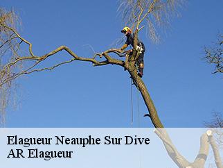 Elagueur  neauphe-sur-dive-61160 Entreprise KIVIG, Elagage express 61