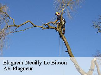 Elagueur  neuilly-le-bisson-61250 AR Elagueur
