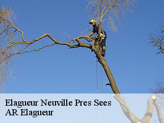 Elagueur  neuville-pres-sees-61500 AR Elagueur