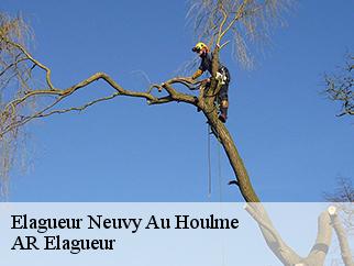 Elagueur neuvy-au-houlme-61210 AR Elagueur