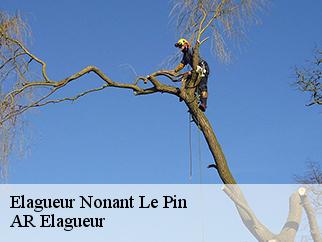 Elagueur  nonant-le-pin-61240 Entreprise KIVIG, Elagage express 61